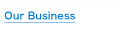 Our Business