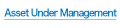 Asset Under Management