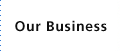 Our Business