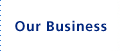 Our Business